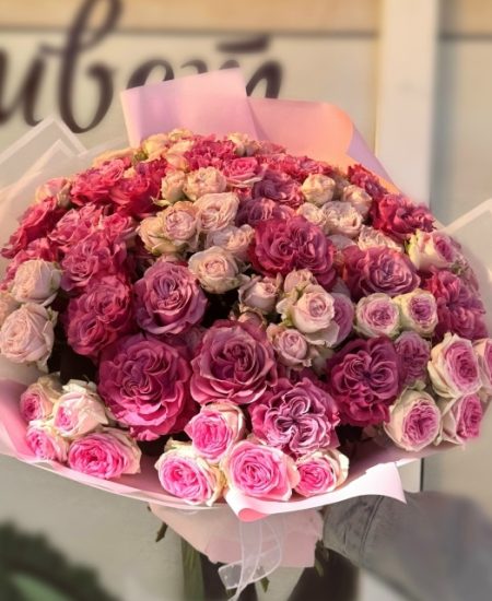 G6sNaUAqA9ijdv1p8YZvMz1k5gM8SYVrAKV2PY5r2tcDV5NCi_t42QIufzBEv7vAsm8sAmFgVmqMrncaw6fVhdym